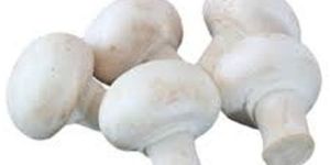 Daily Fresh Button Mushroom