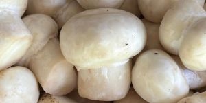 Farm Fresh Button MUSHROOM