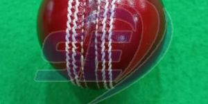 Leather Cricket Ball