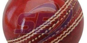 Red Cricket Leather Ball