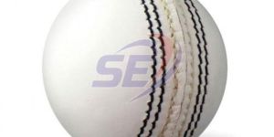 White Cricket Leather Ball