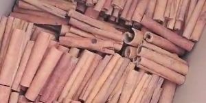 Cassia Cinnamon Stick