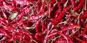 Dry Red Chilli