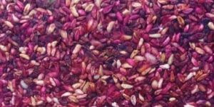 Dry Rose Petals