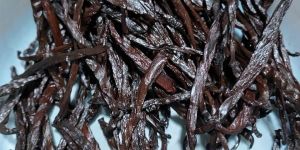 Indian Vanilla Beans