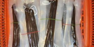 Dry Vanilla Beans