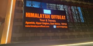 Domestic Travel Agency