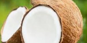 Semi Husked Coconuts