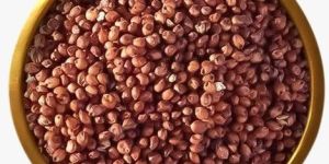Red Sorghum Rice