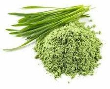 Wheatgrass Powder