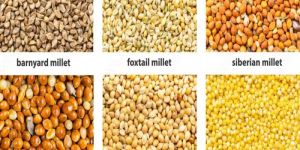 Millet