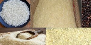 Rice