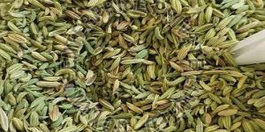 Lucknowi Fennel Seeds