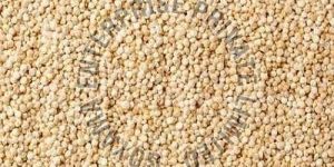 Natural Rajgira Amaranth Ramdana