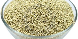 Quinoa Seeds