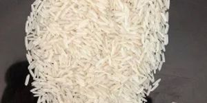 1718 Steam Basmati Rice