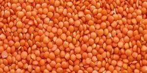 Red Masoor Dal