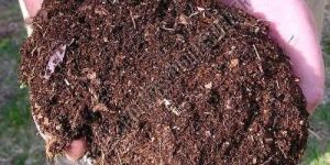 Natural Vermicompost Fertilizer