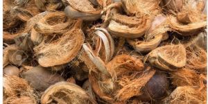 Coconut Husk