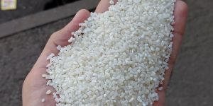 IR 64 Broken Raw White Rice