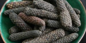 Long Pepper