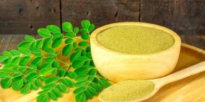 Moringa Oleifera Plant/leaves/powder