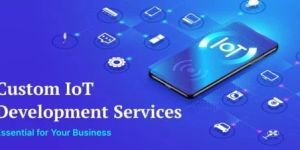 Custom Iot Software Development Service