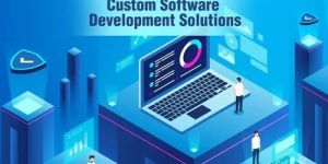 Customized Software Solution Service
