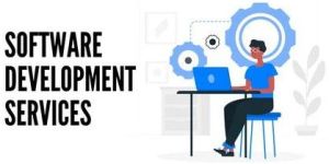 Software Development Service