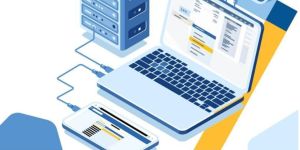 Gold Tally Software Service Renewal