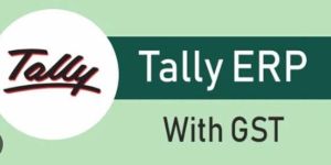Tally ERP Accounting Software