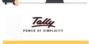 Tally Prime Accounting Software Multi User