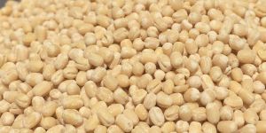 Premium Urad Dal