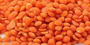 Red Masoor Dal