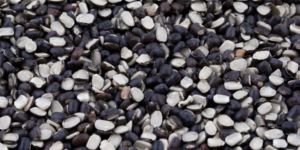 Split Black Urad Dal