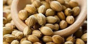 Whole Coriander Seed