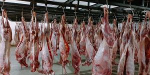 Halal Goat Meat