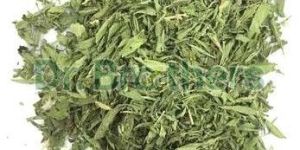 Dried Stevia Leaves