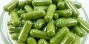 Moringa Capsules