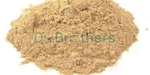 Seedless Amla Powder