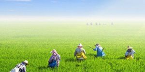 Agricultural Land Deal Services