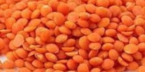 Red Masoor Dal