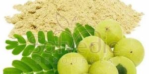 Natural Amla Powder