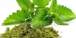 Tulsi Powder