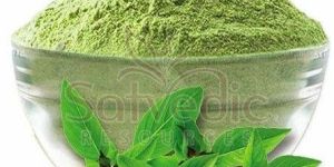 Tulsi Leaf Powder