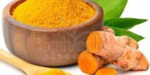 Organic Turmeric Powder