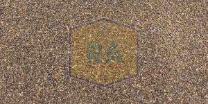 Gold Dust Loose Tea Powder