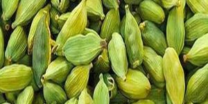 Green Cardamom Seeds