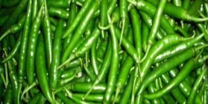 Spicy Fresh Green Chilli