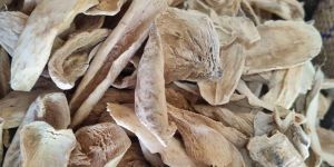 Double Golden Dried Mango Slice